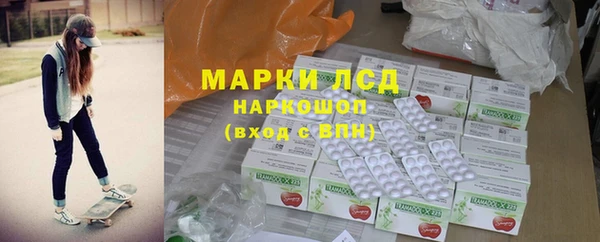PSILOCYBIN Каменногорск