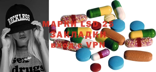PSILOCYBIN Каменногорск