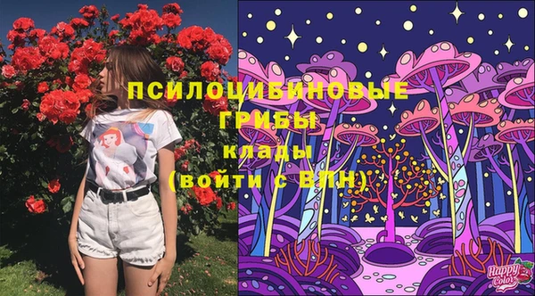 а пвп мука Каменка