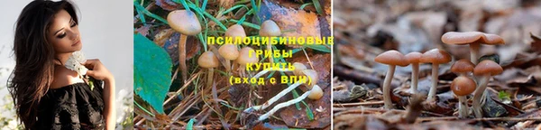 а пвп мука Каменка