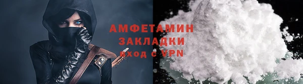 PSILOCYBIN Каменногорск