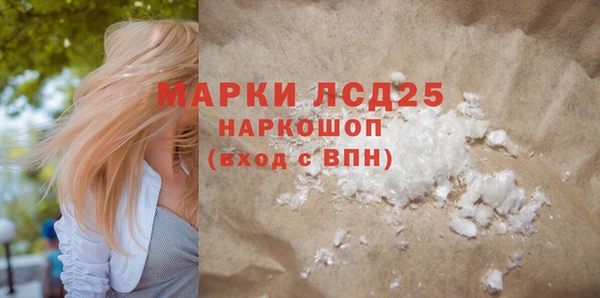 PSILOCYBIN Каменногорск