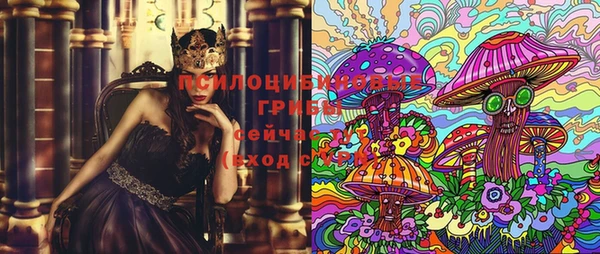 PSILOCYBIN Каменногорск